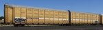 BTTX 880349